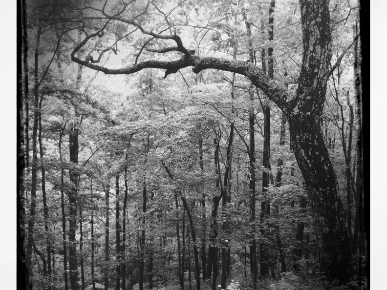 Ridge Top, Cave Run